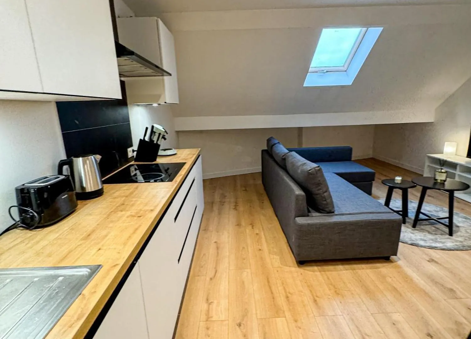 Friendly 1Br & 1Lr Apt, 15 Min Walk To City Center Ghent Apartment