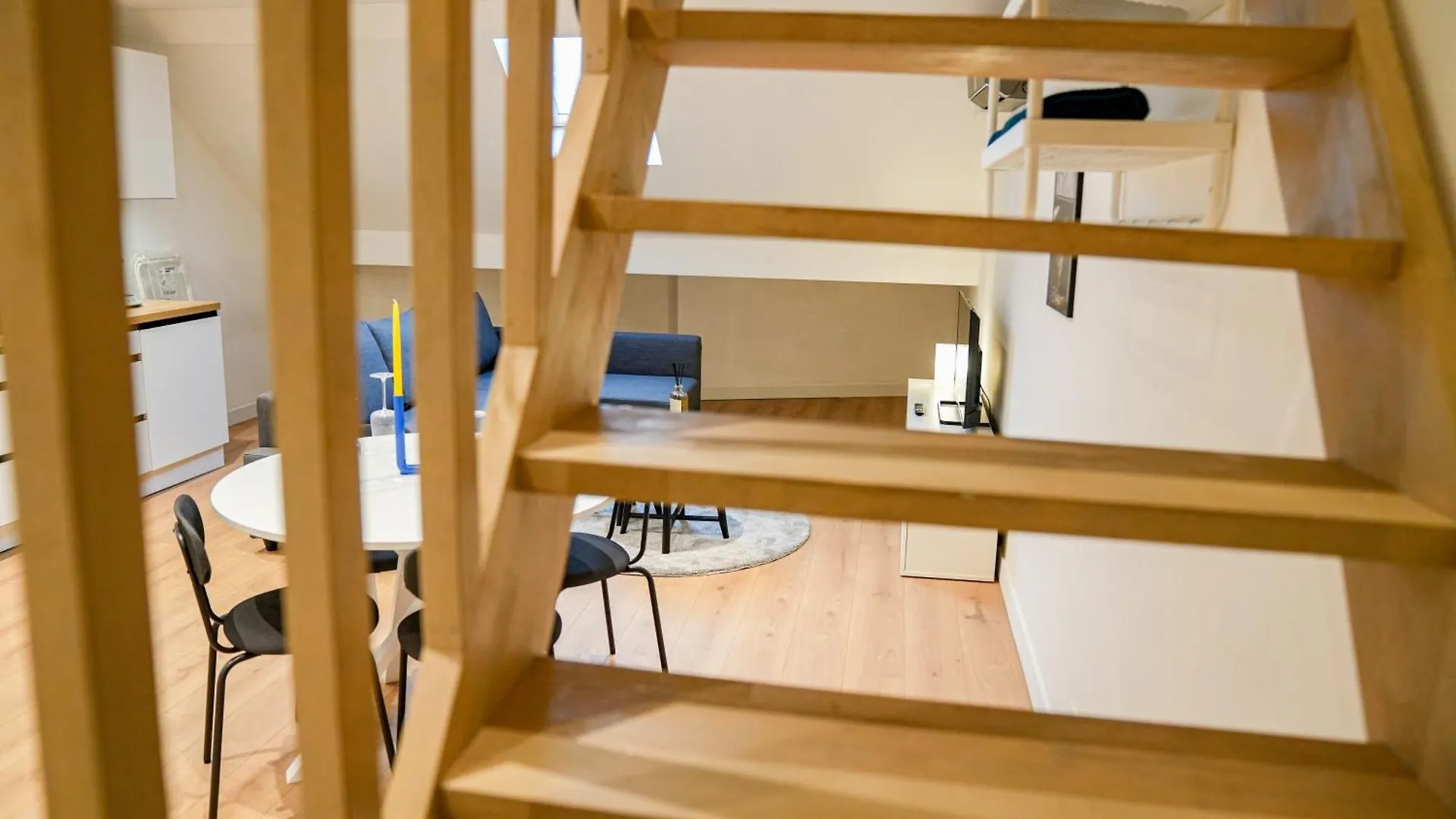 Friendly 1Br & 1Lr Apt, 15 Min Walk To City Center Ghent Apartment