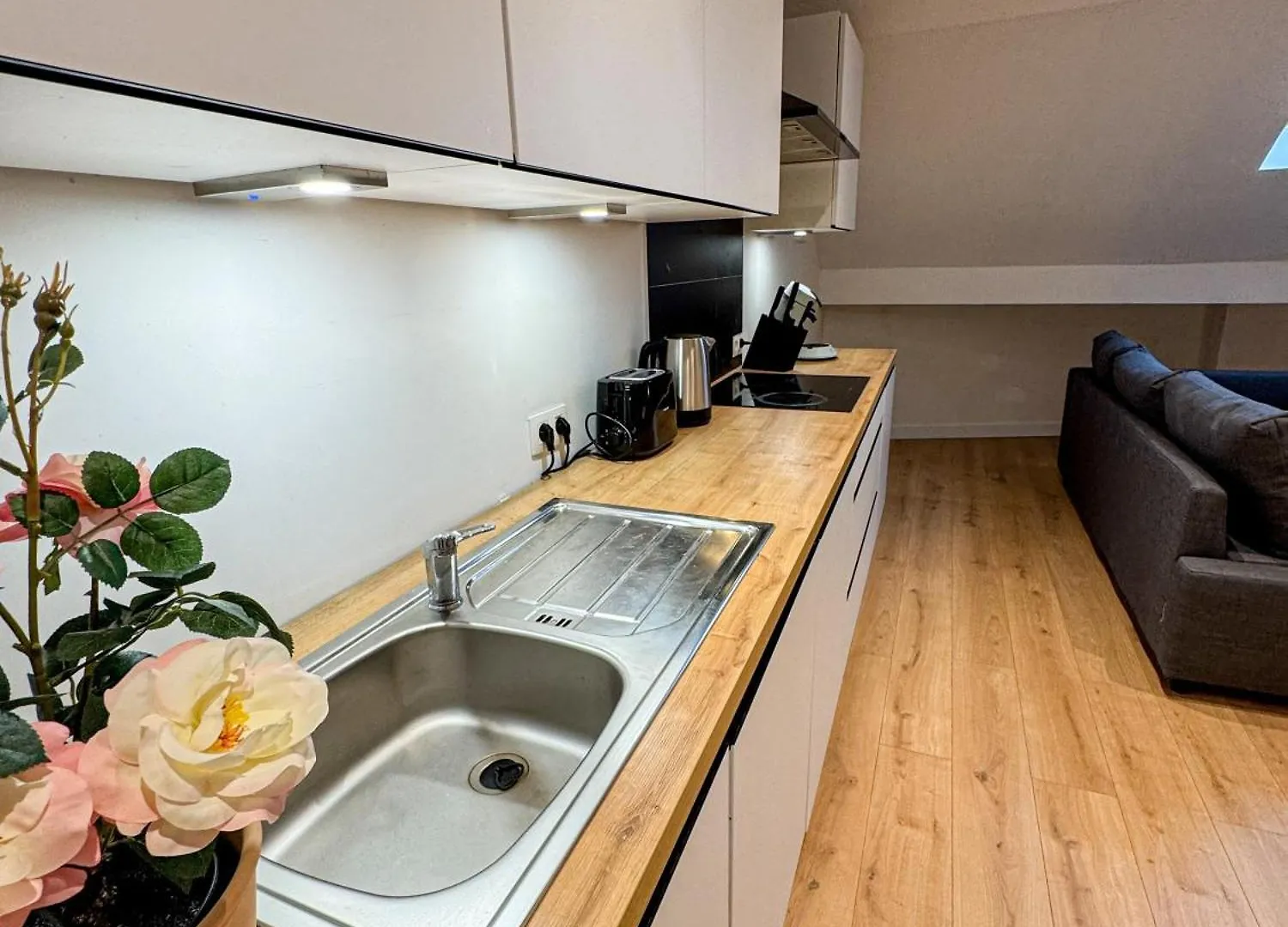 Friendly 1Br & 1Lr Apt, 15 Min Walk To City Center Ghent