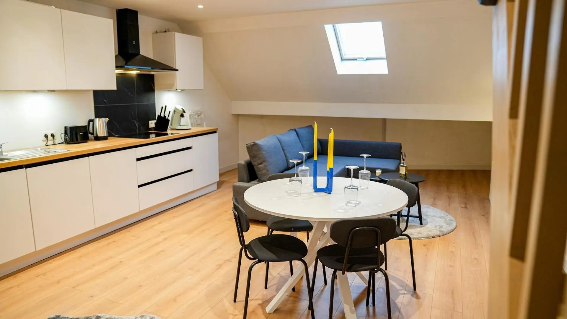 Friendly 1Br & 1Lr Apt, 15 Min Walk To City Center Ghent Apartment