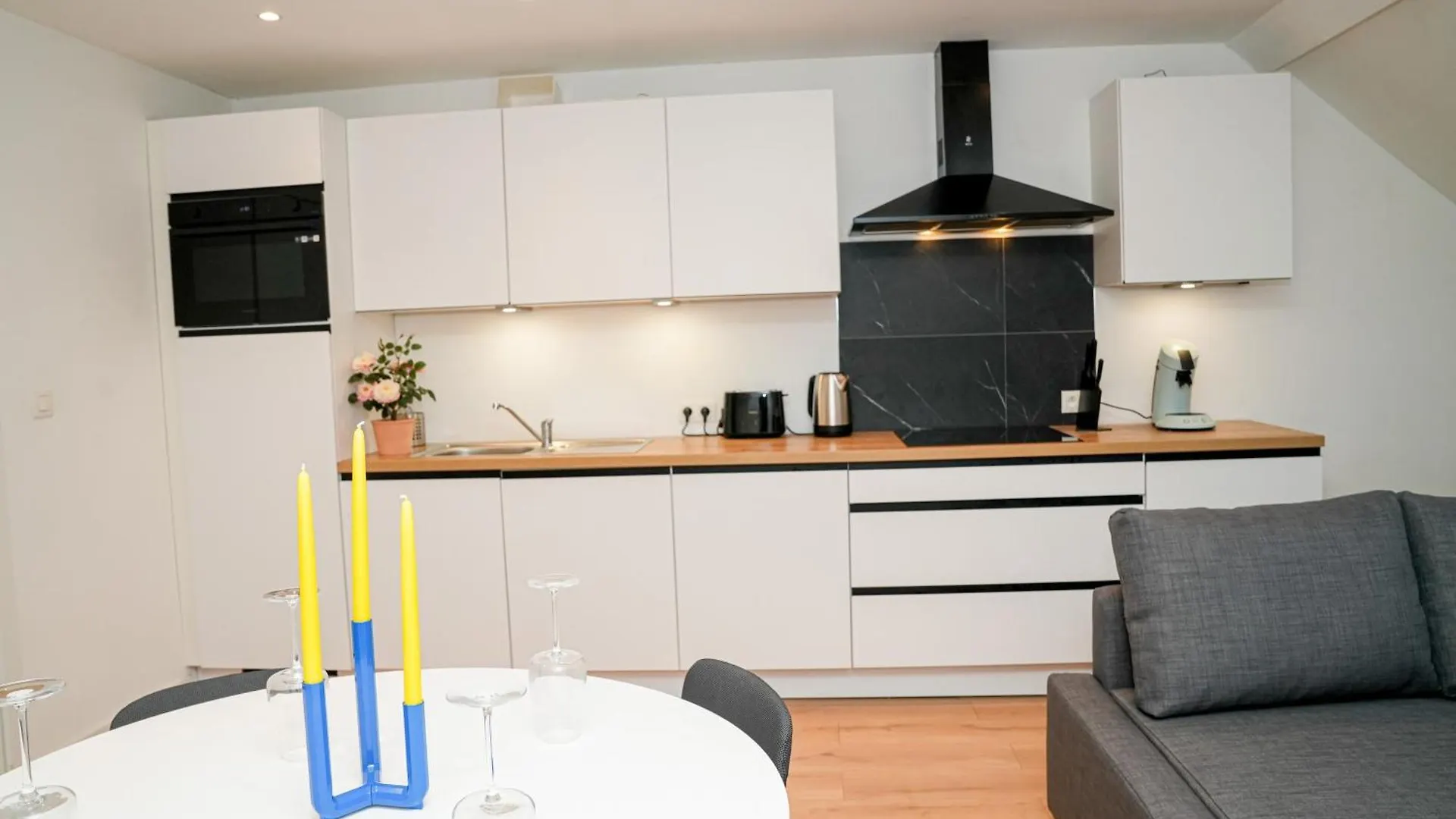 Friendly 1Br & 1Lr Apt, 15 Min Walk To City Center Ghent Belgium
